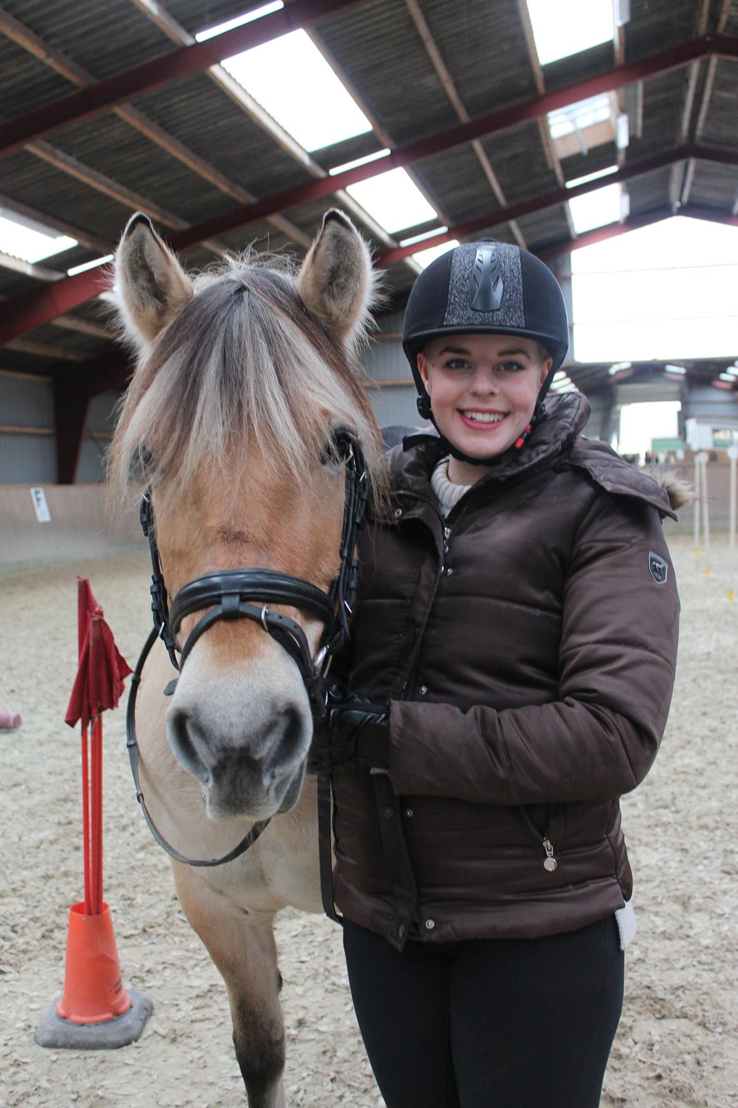 Fjordhest Gitte  - Velkommen til Gittes profil  billede 1