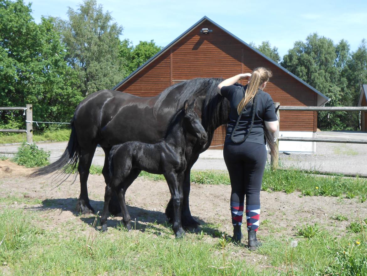 Frieser Aura von Inger-Marienlund - Ung og nysgerrig Aura ude med mor-Jitske billede 5