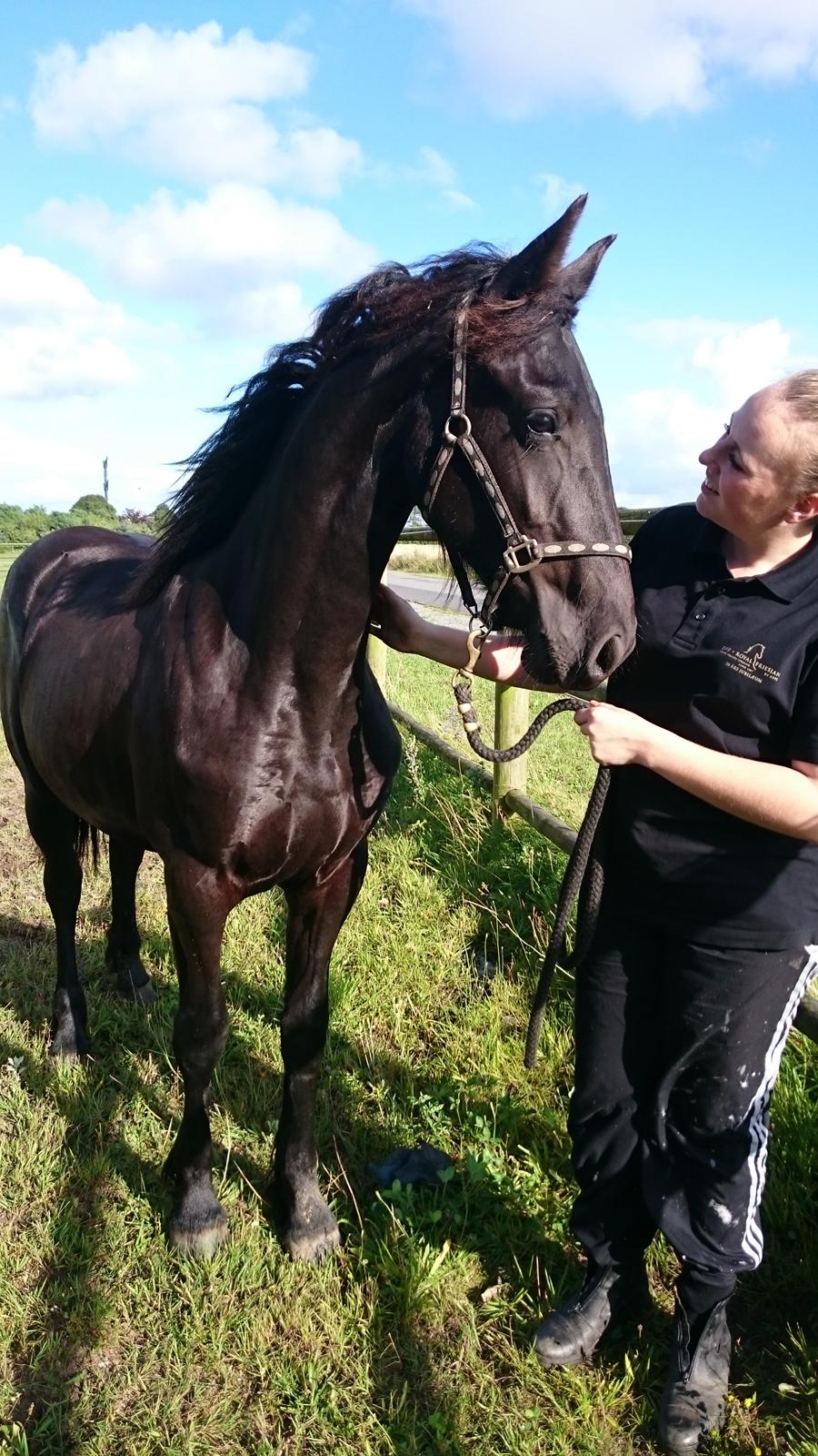 Frieser Aura von Inger-Marienlund - 1årig Aura.. Hun er allerede blevet en langbenet lille pige billede 6