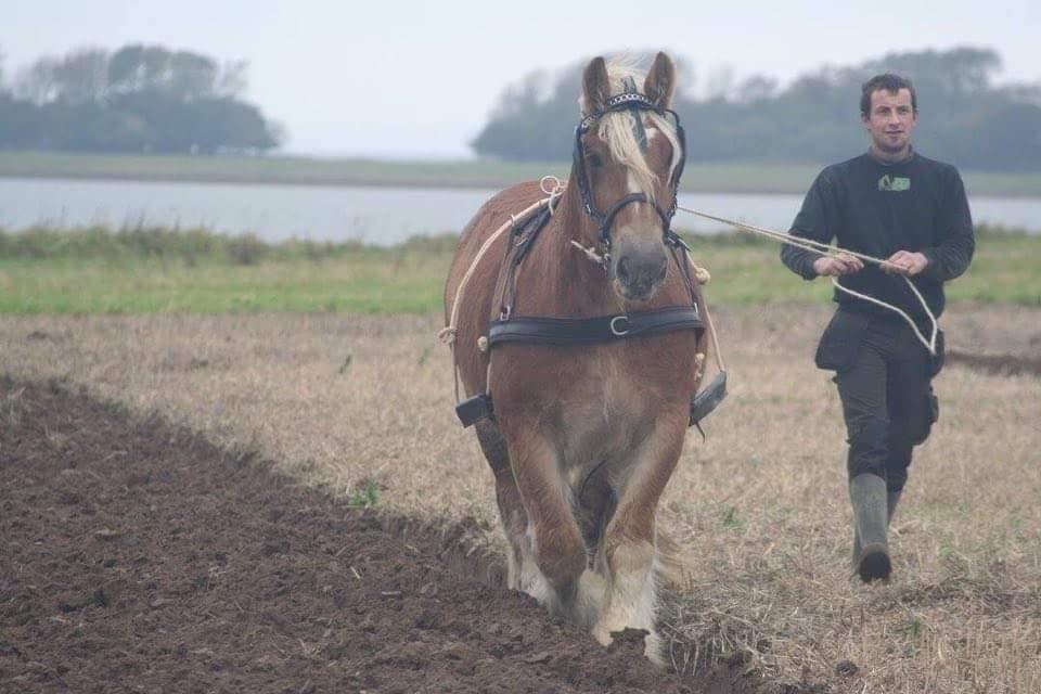 Jyde holger billede 10