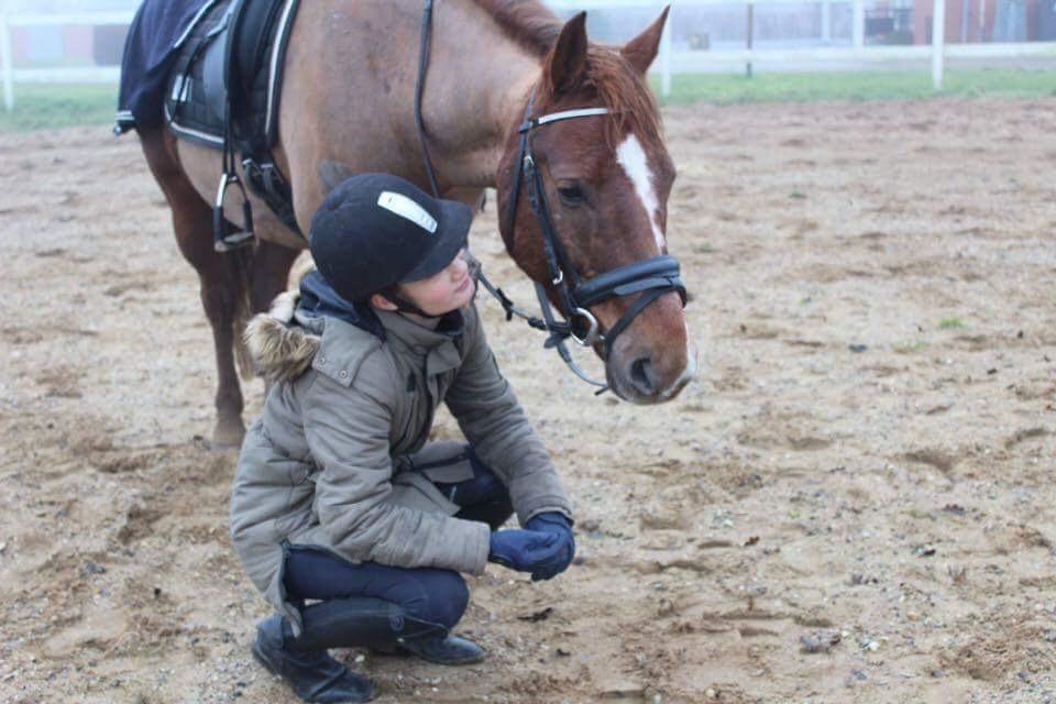 Anden særlig race Spirit billede 12