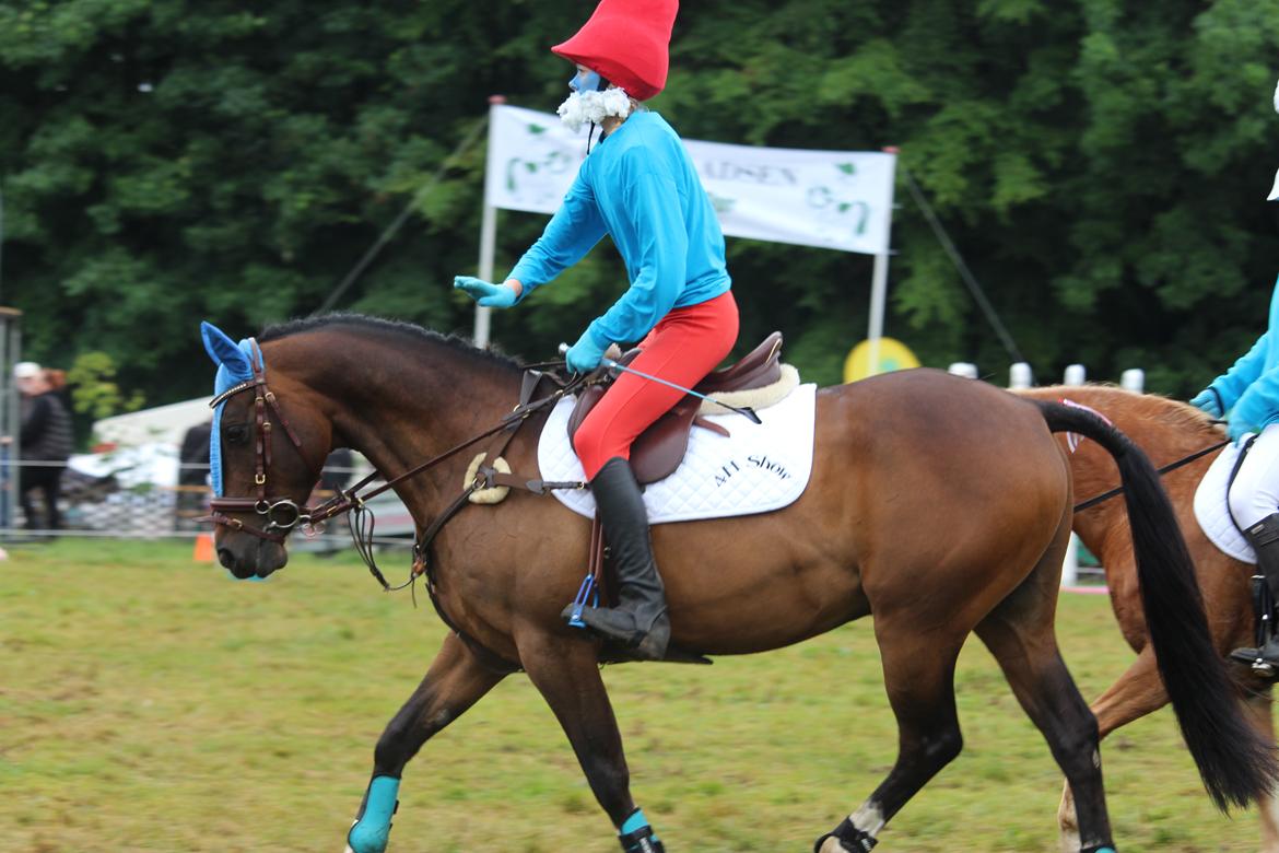 DSP Præst's zedan billede 8