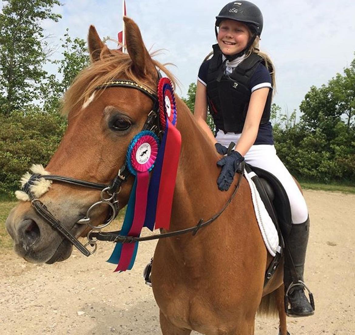 DSP Stejlbjerggårds zefyr billede 16