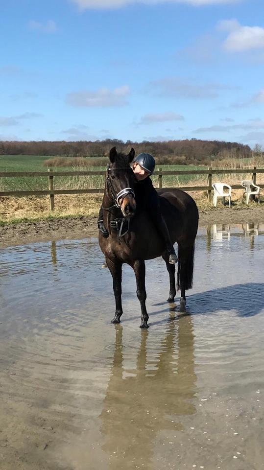 New Forest Lundemarksgårds Prada - Prada og jeg :)  billede 2