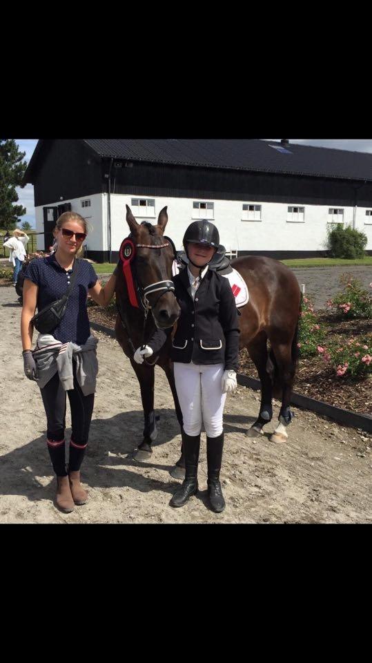 New Forest Lundemarksgårds Prada - Prada, Victoria min part og jeg efter et godt springstævne på NSR. billede 3