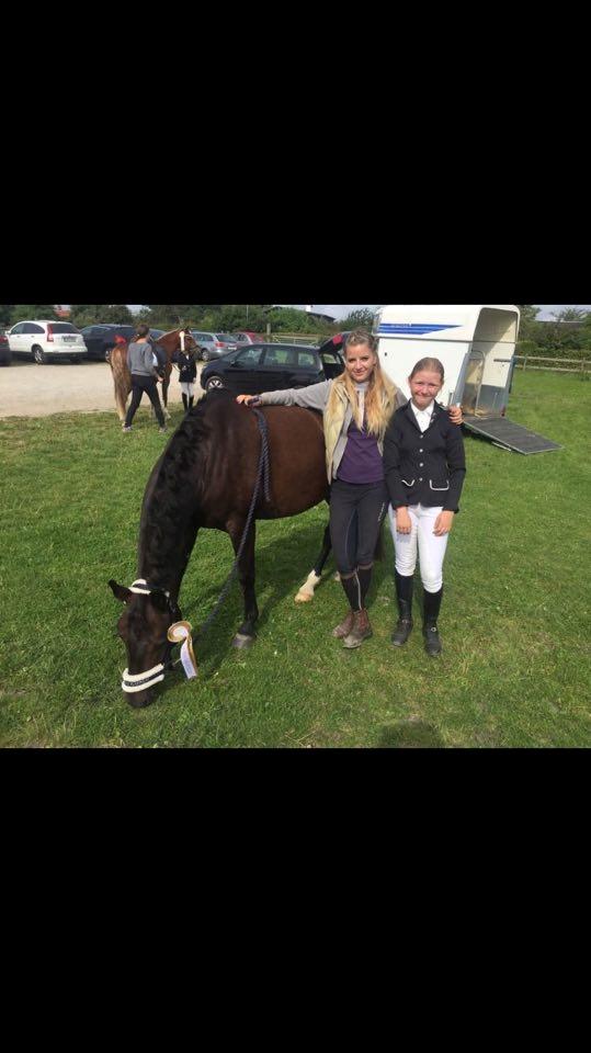 New Forest Lundemarksgårds Prada - Prada, Victoria og jeg efter godt dressurstævne på Birkerød.  billede 9
