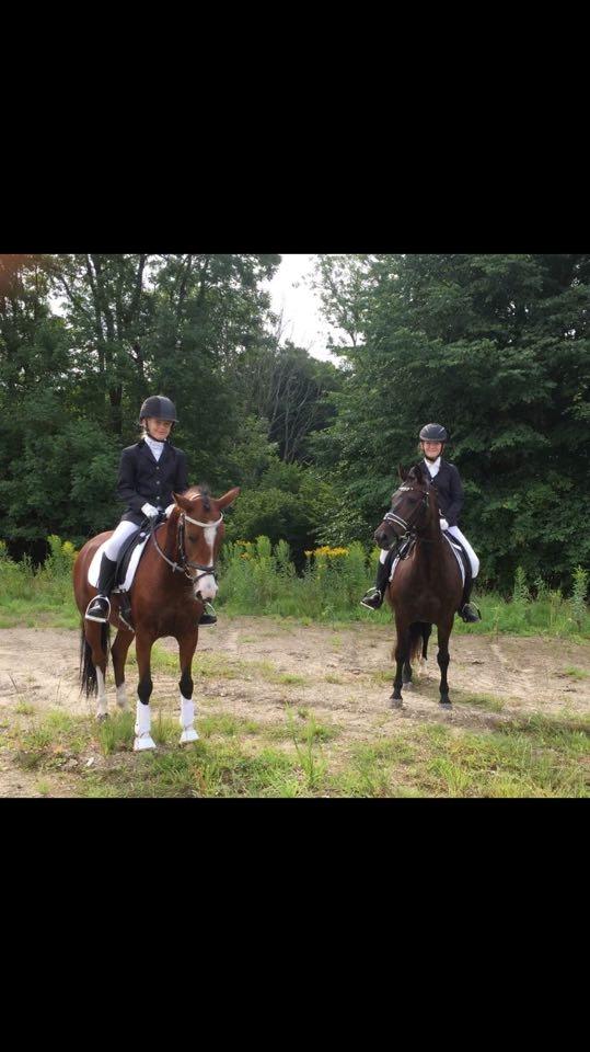 New Forest Lundemarksgårds Prada - Prada og Victoria, hendes veninde Sofia og hendes pony på Birkerød. billede 10