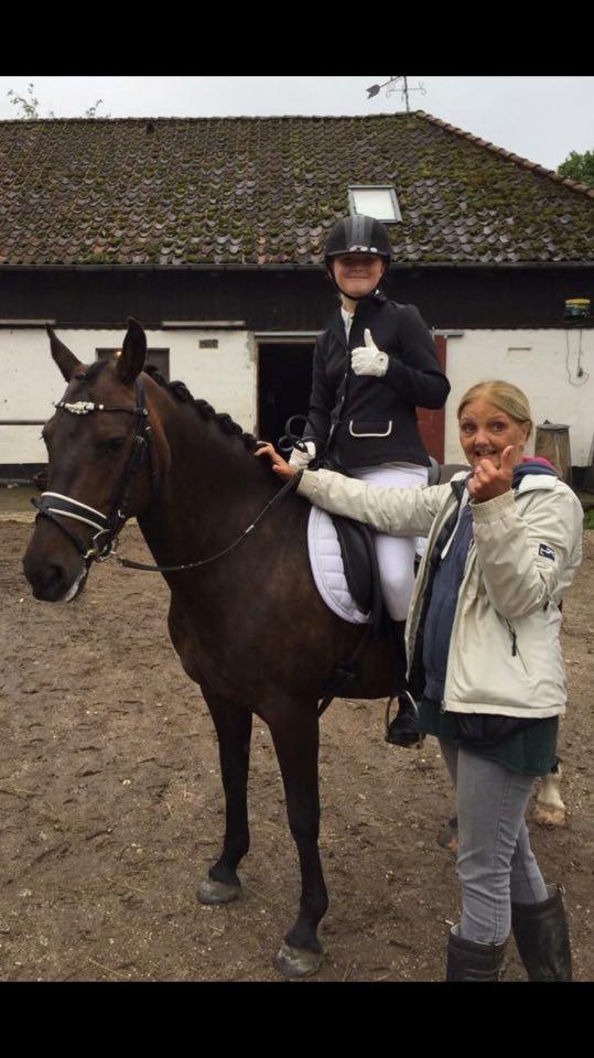 New Forest Lundemarksgårds Prada - Min mor, Prada og Victoria efter et vellykket dressurstævne på NSR. billede 13
