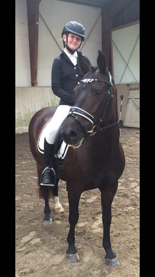 New Forest Lundemarksgårds Prada - Prada og Victoria til dressurstævne på Birkerød.  billede 15