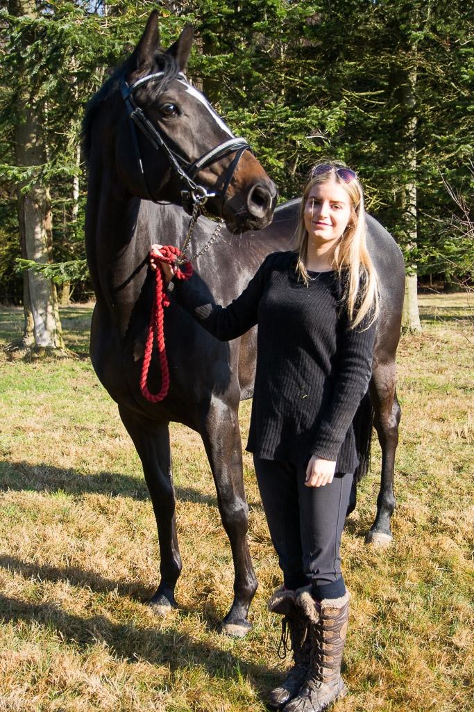 Trakehner Mardeleine billede 11