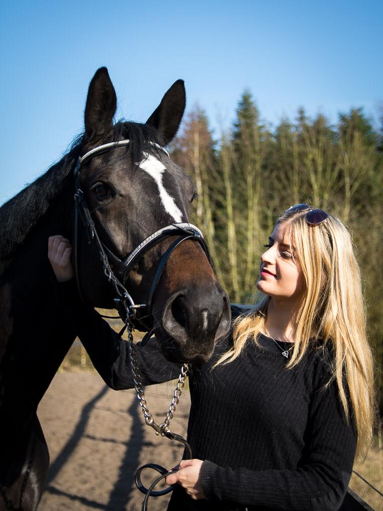 Trakehner Mardeleine billede 2