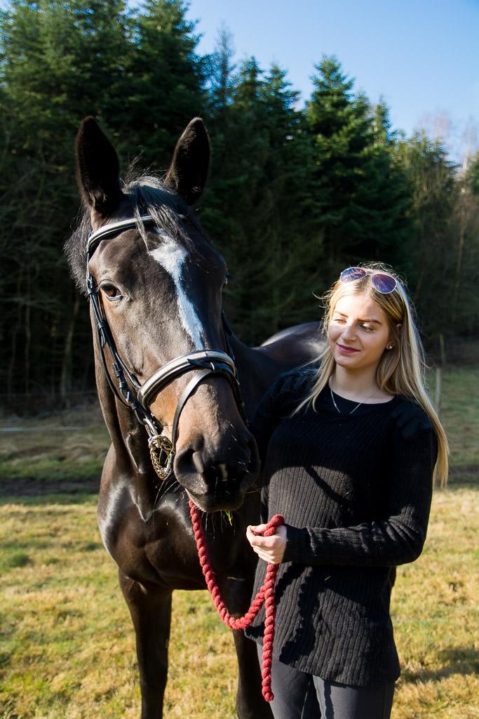 Trakehner Mardeleine billede 14