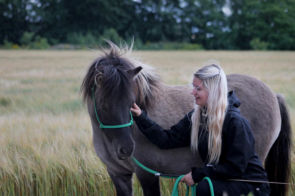 Anden særlig race Tumle tidl. part billede 1