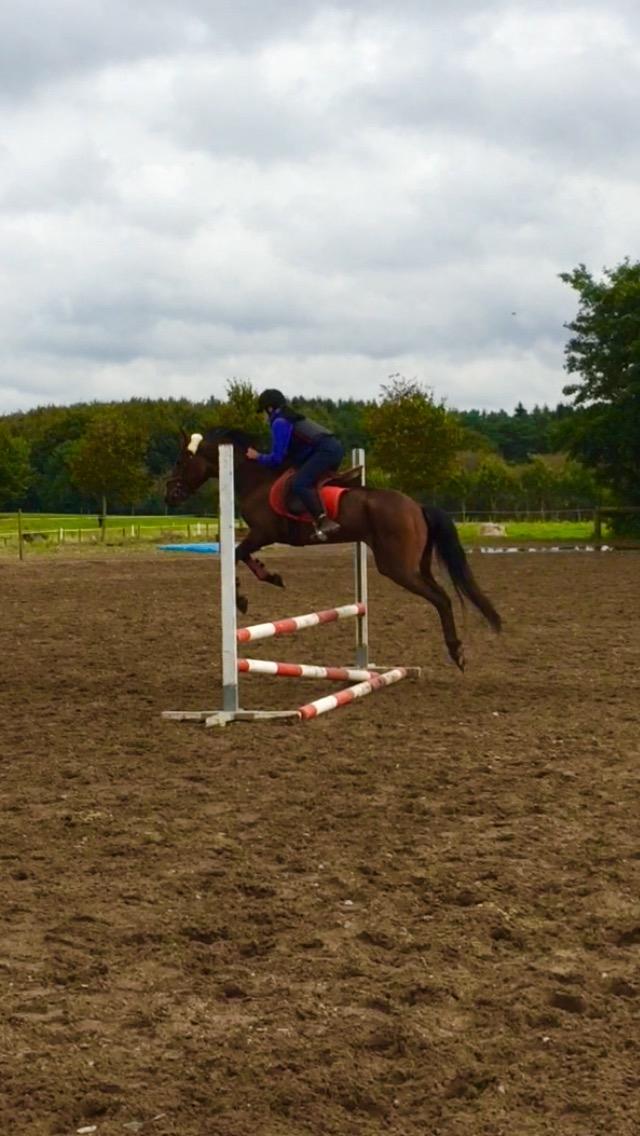 Traver Bette Nøk S billede 14