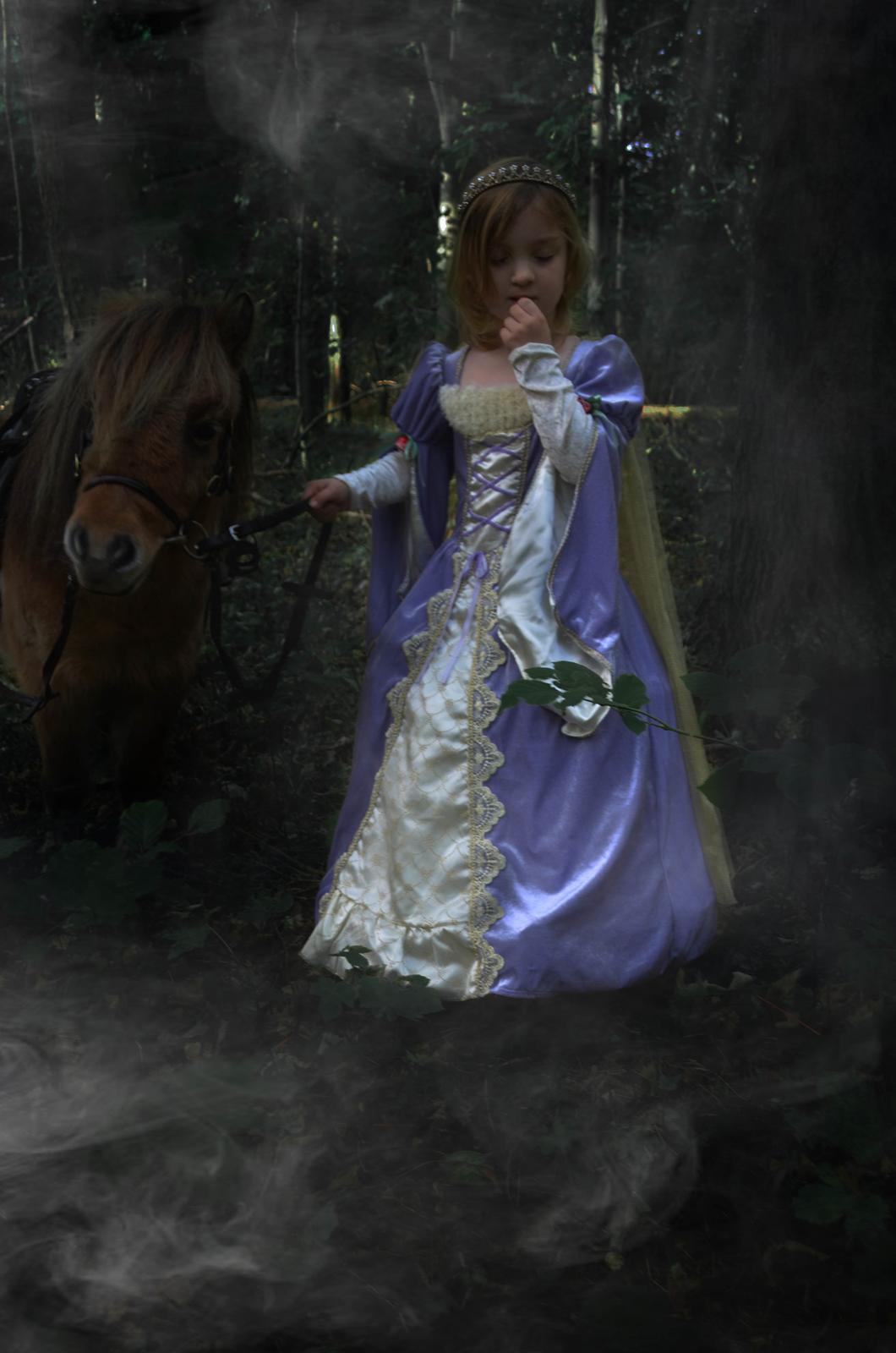 Shetlænder Crazy's sallie billede 19