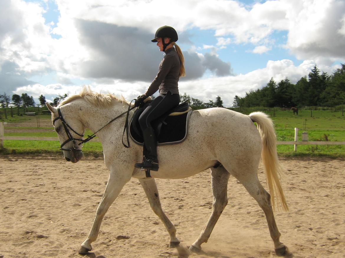 Anden særlig race Happy billede 2