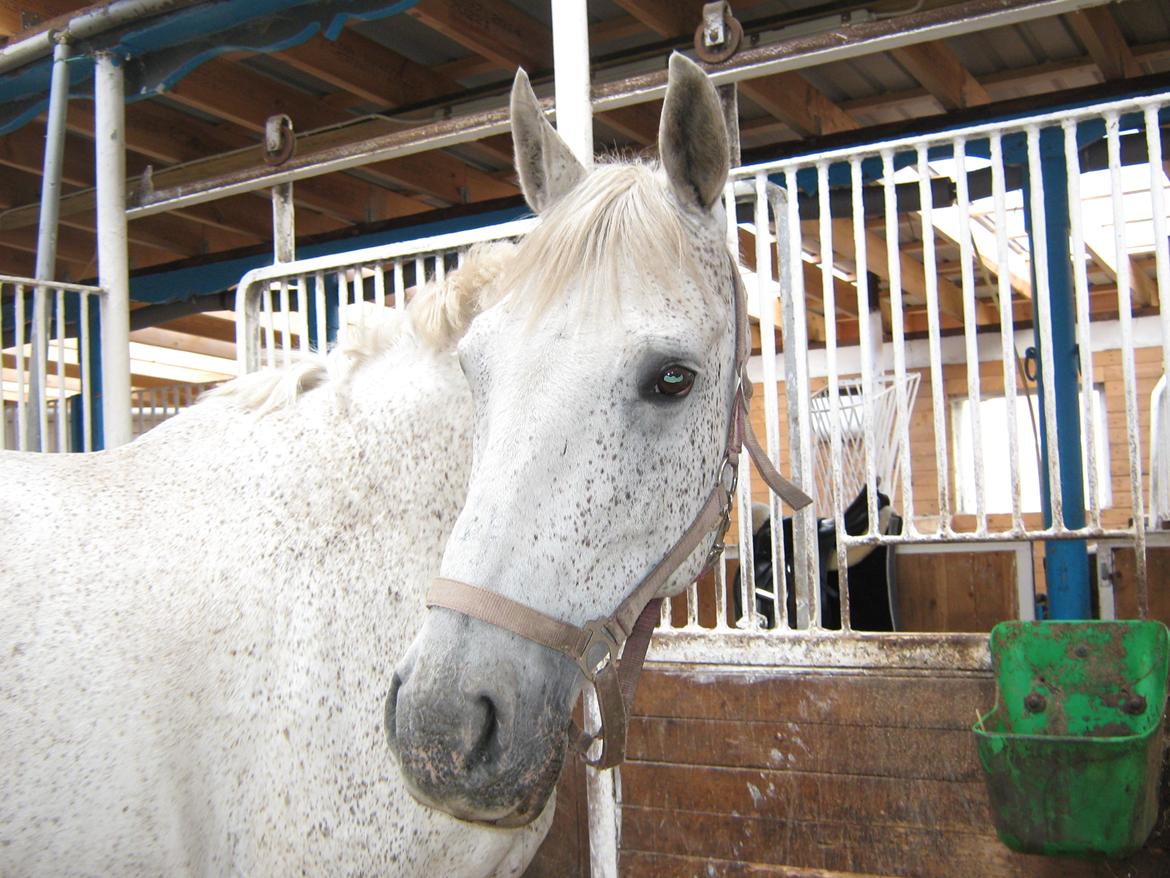 Anden særlig race Happy - Velkommen til Happys profil <3 billede 1