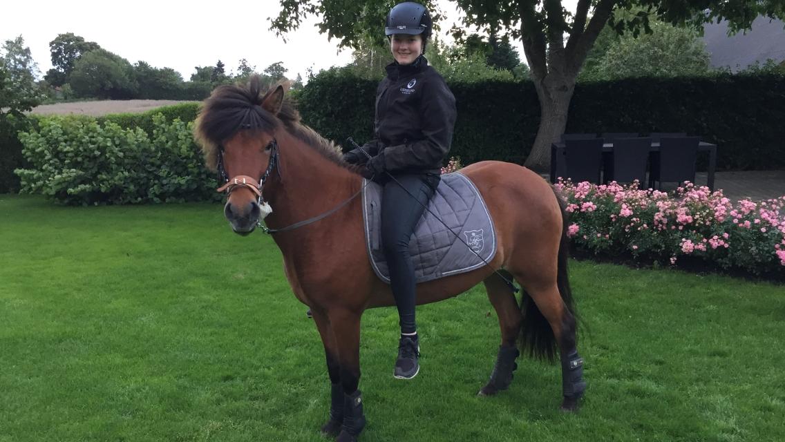 Islænder Sóley fra Urnebjerggård billede 3