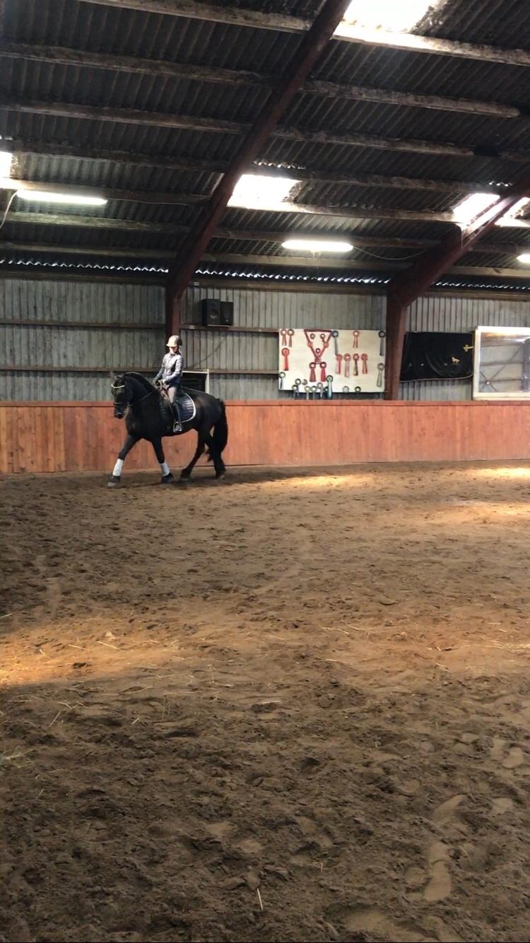 Frieser Van Helsing billede 9