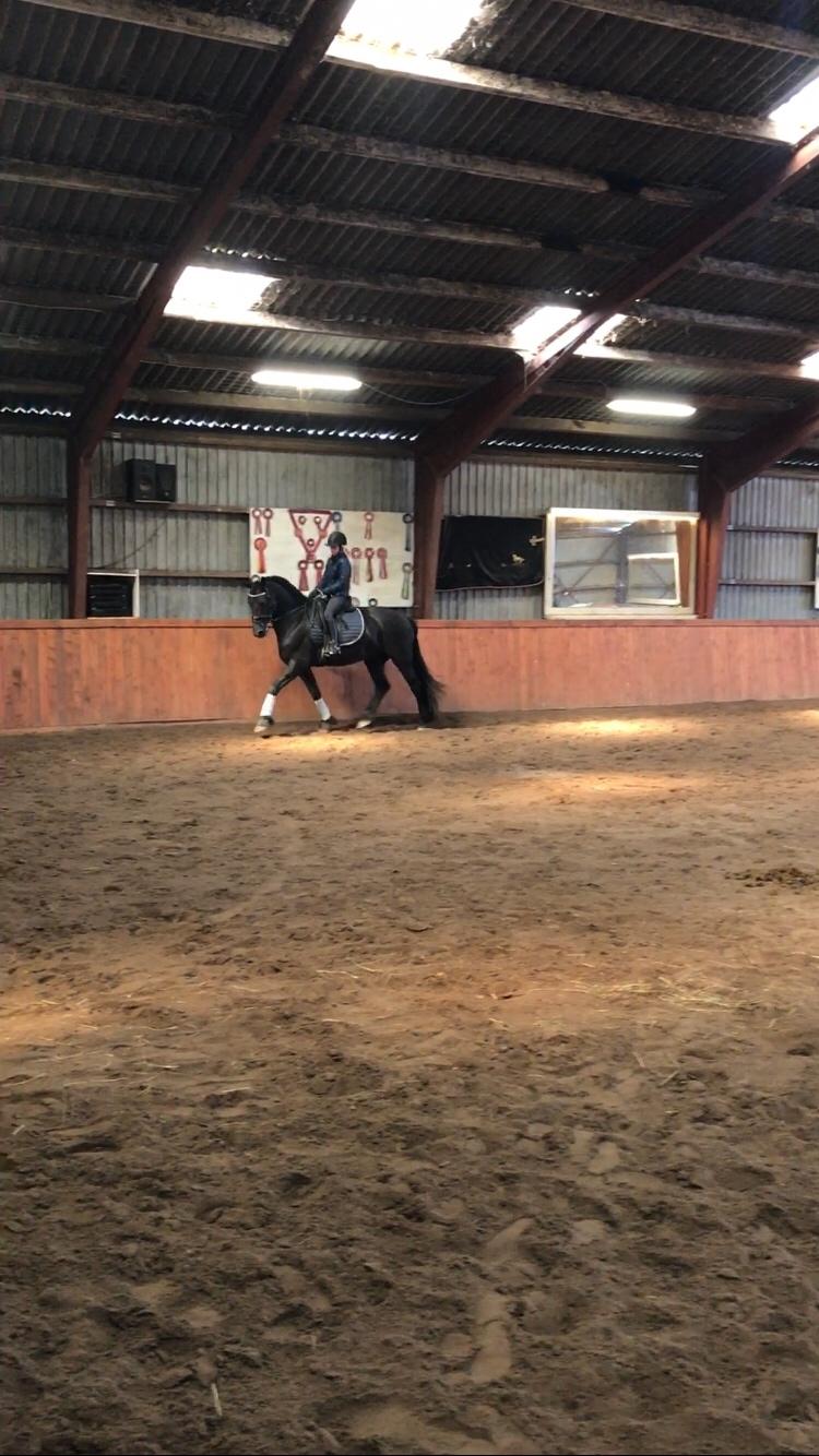 Frieser Van Helsing billede 2