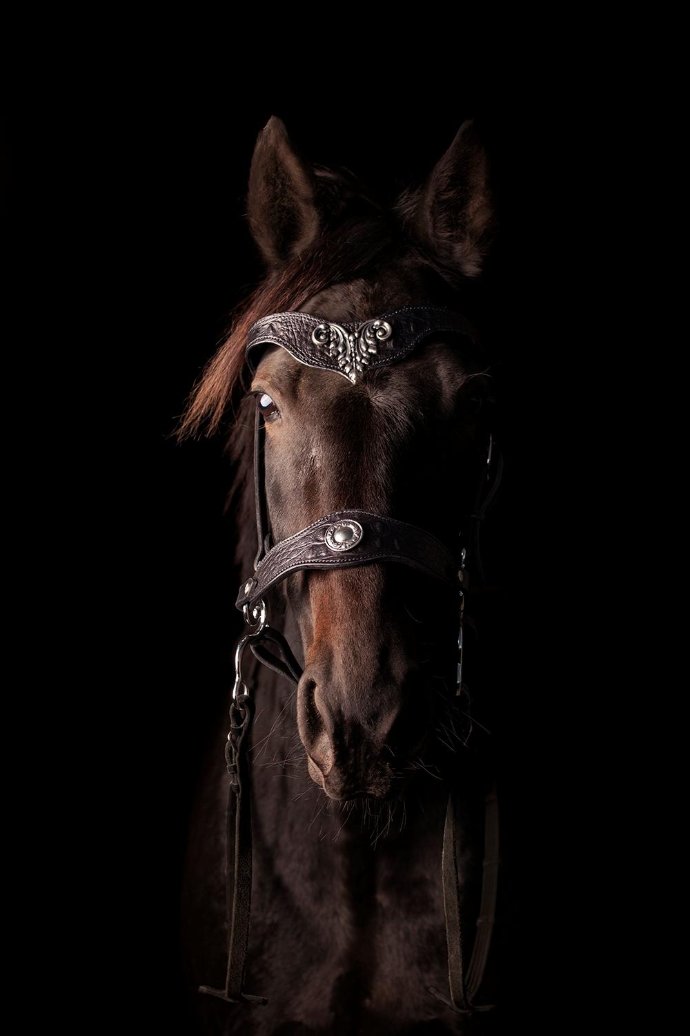 Traver Livi Instinct a.k.a Fleur billede 2