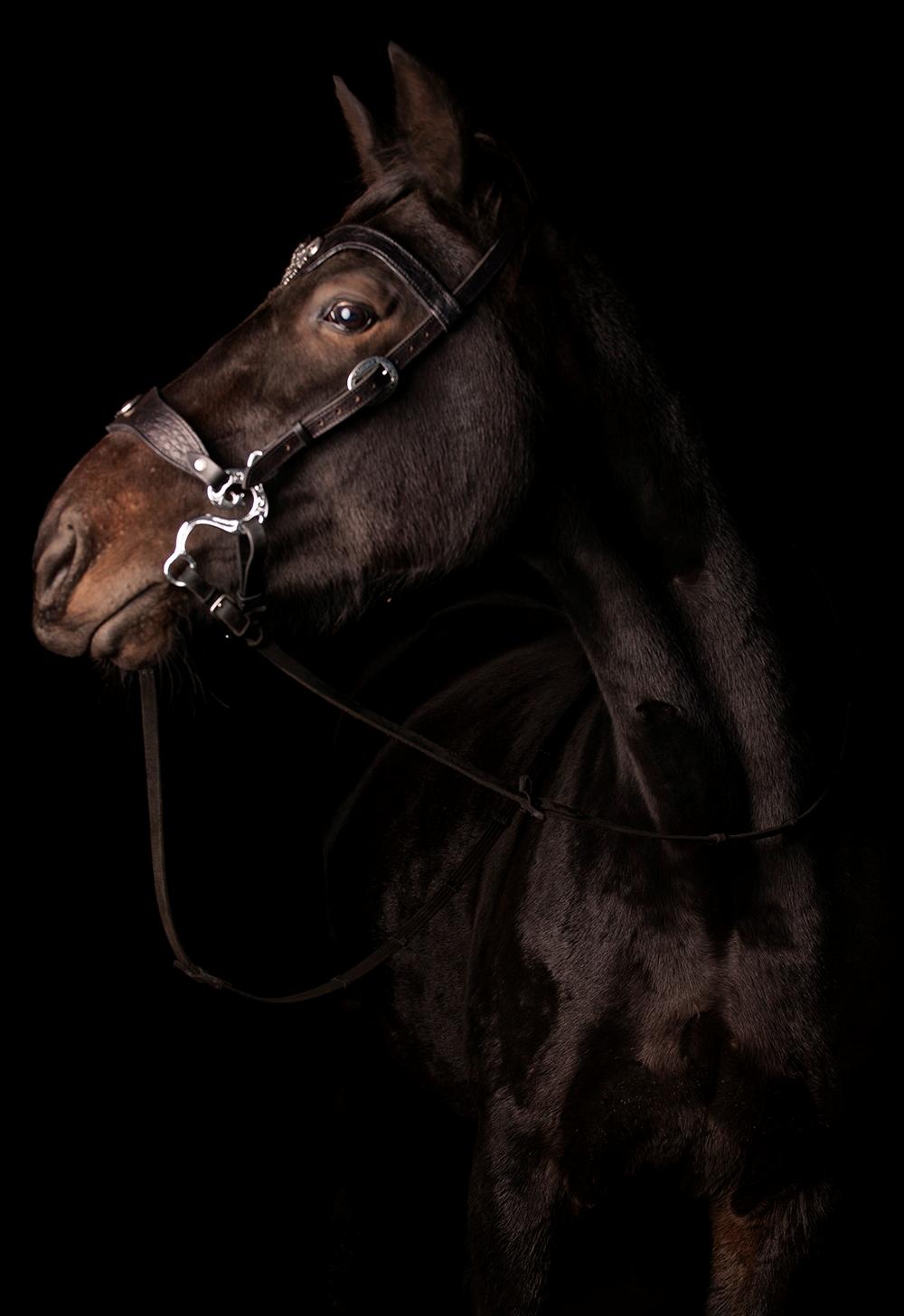 Traver Livi Instinct a.k.a Fleur billede 3