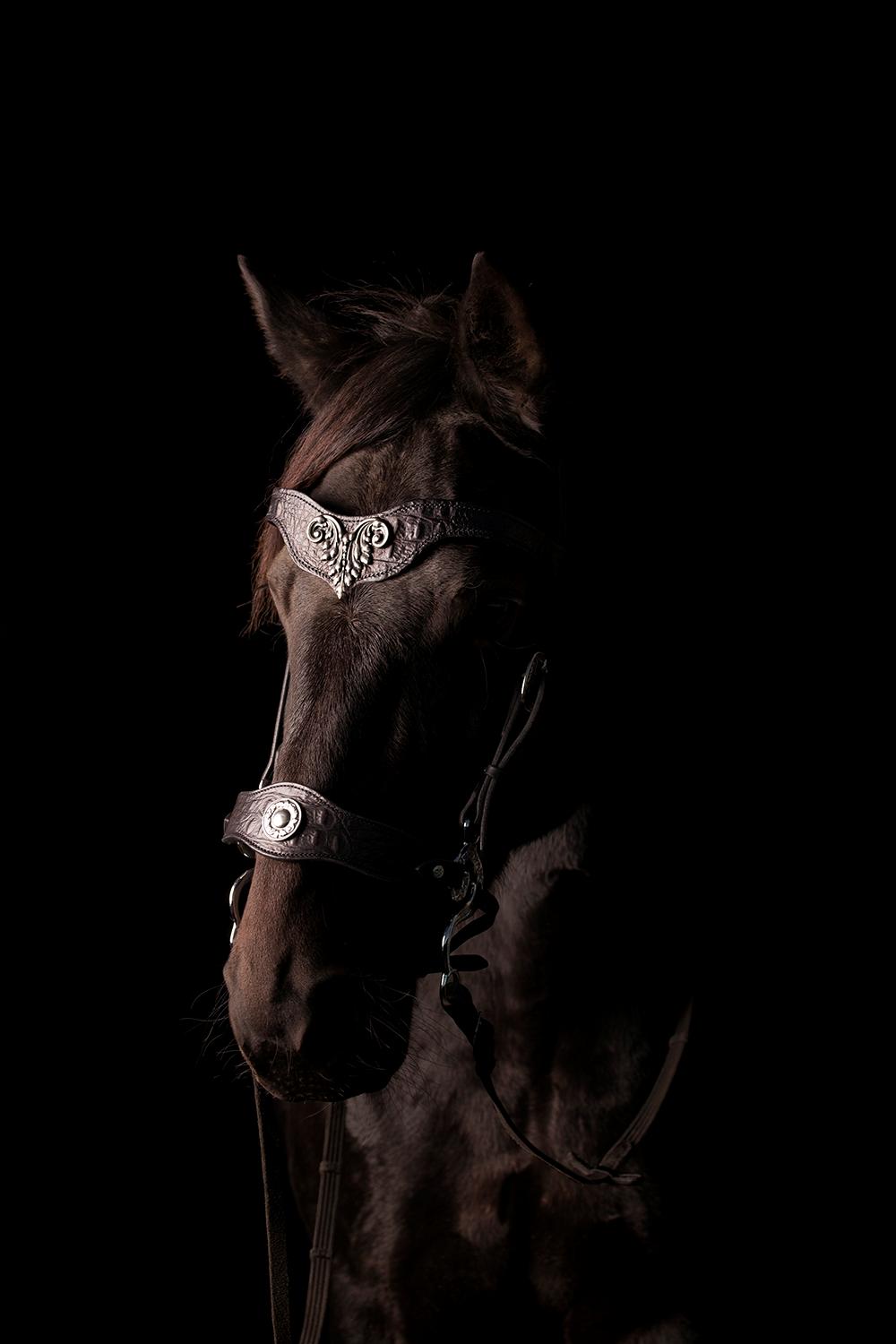 Traver Livi Instinct a.k.a Fleur billede 1