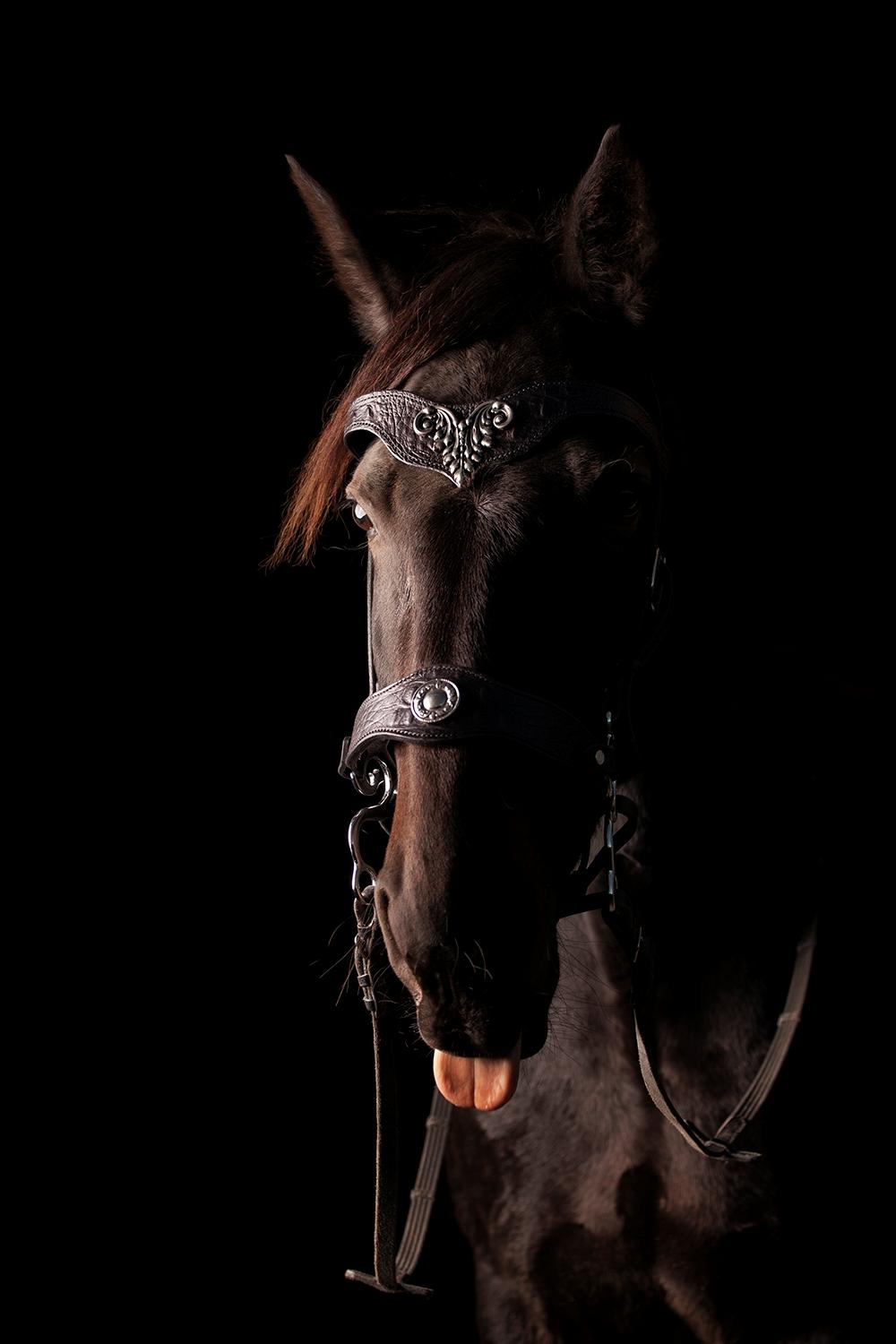 Traver Livi Instinct a.k.a Fleur billede 4