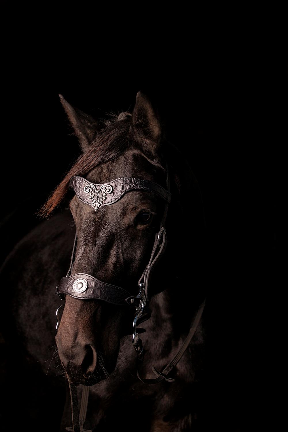 Traver Livi Instinct a.k.a Fleur billede 5