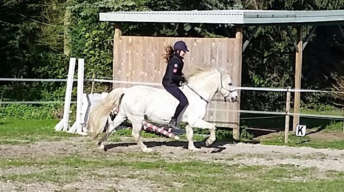 Anden særlig race Super star billede 19