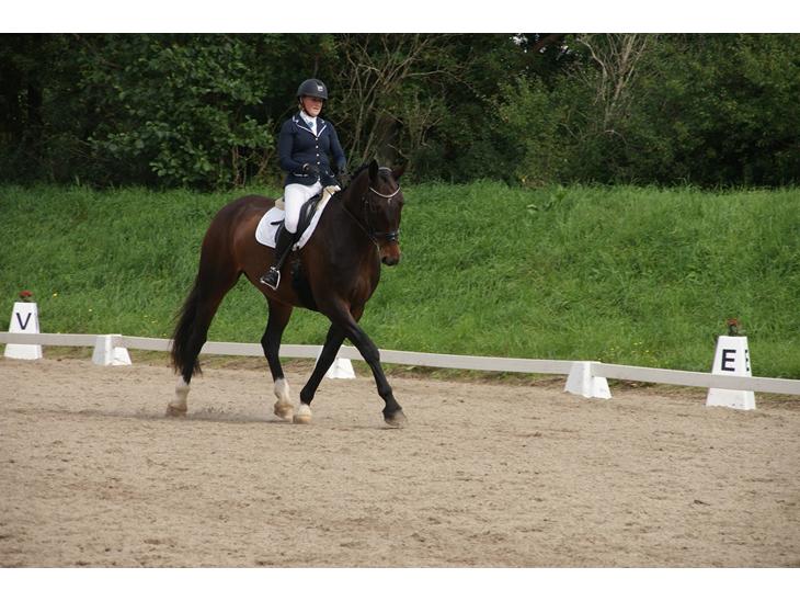 {{currentPhoto.altText}} billede {{currentPhoto.number}}