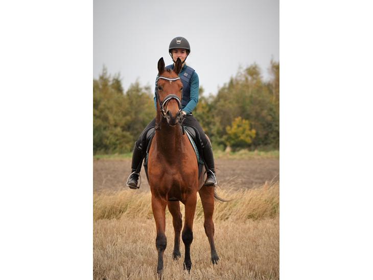 {{currentPhoto.altText}} billede {{currentPhoto.number}}