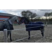 Oldenborg Zafine Macoy