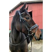 Oldenborg Zafine Macoy