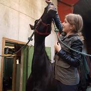 Frieser Marijke G (tidl part)