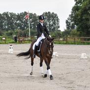 DSP Røgild's Sunfürst