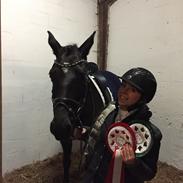 Trakehner Esther l