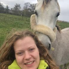 Anden særlig race Suna's Miss Diva