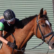 Anden særlig race Hameris