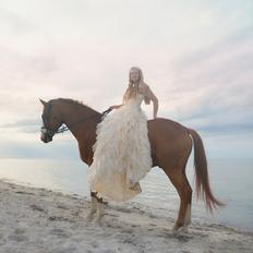 Trakehner Heywood af Lykkebo