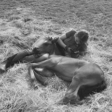 Anden særlig race Cera Bella