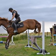 Anden særlig race Eligance