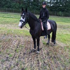 Frederiksborg Stenhedegårds special painted