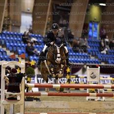 Dansk Varmblod Cornelia højbo *Himmel hest*