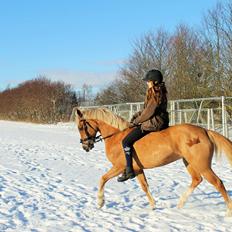 Anden særlig race June