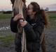 Welsh Cob (sec D) | Glanvyrnwy Olwena