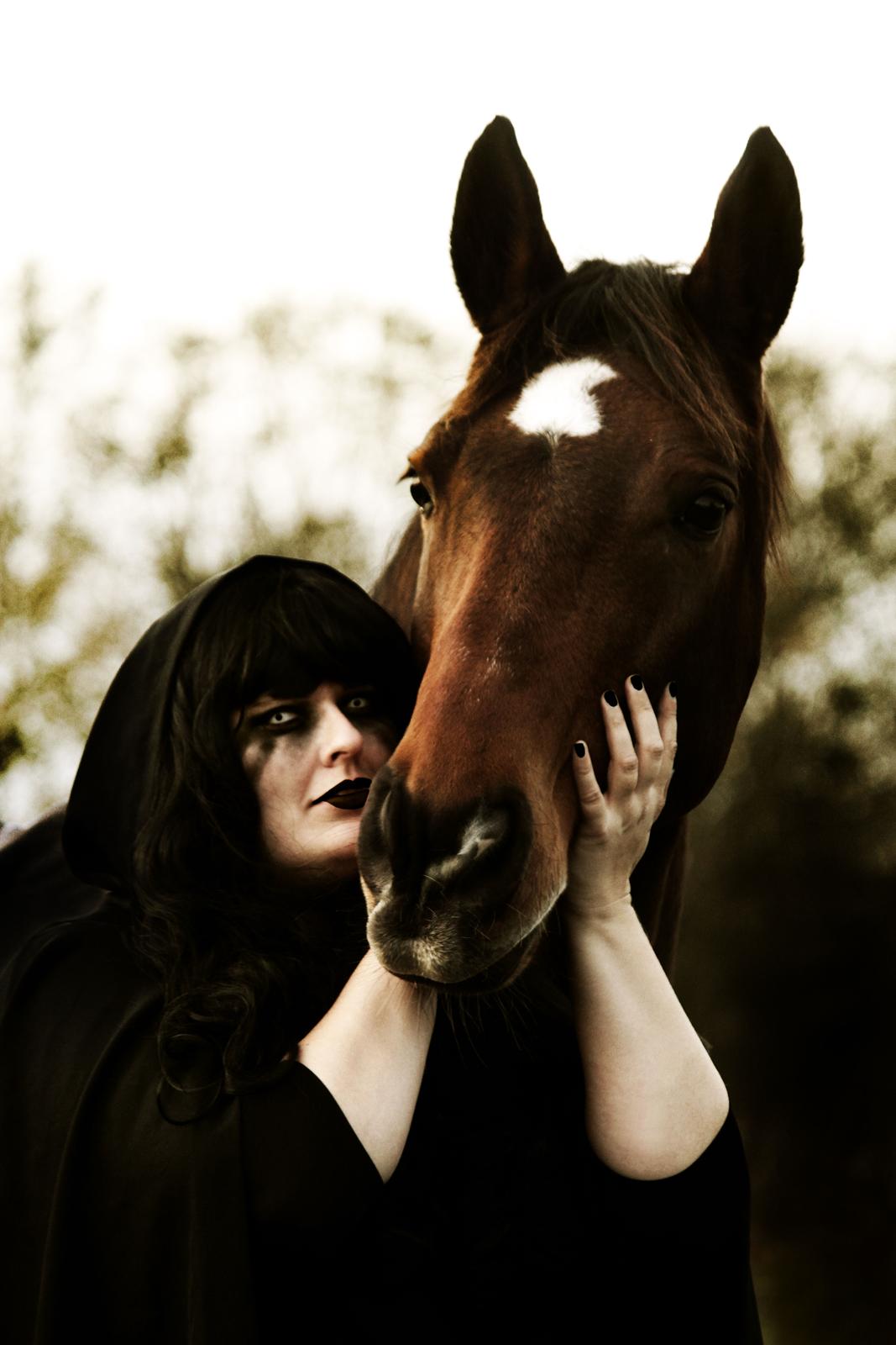 Anden særlig race Dalvangs Casper - NYT: Halloween billede 2017 billede 10