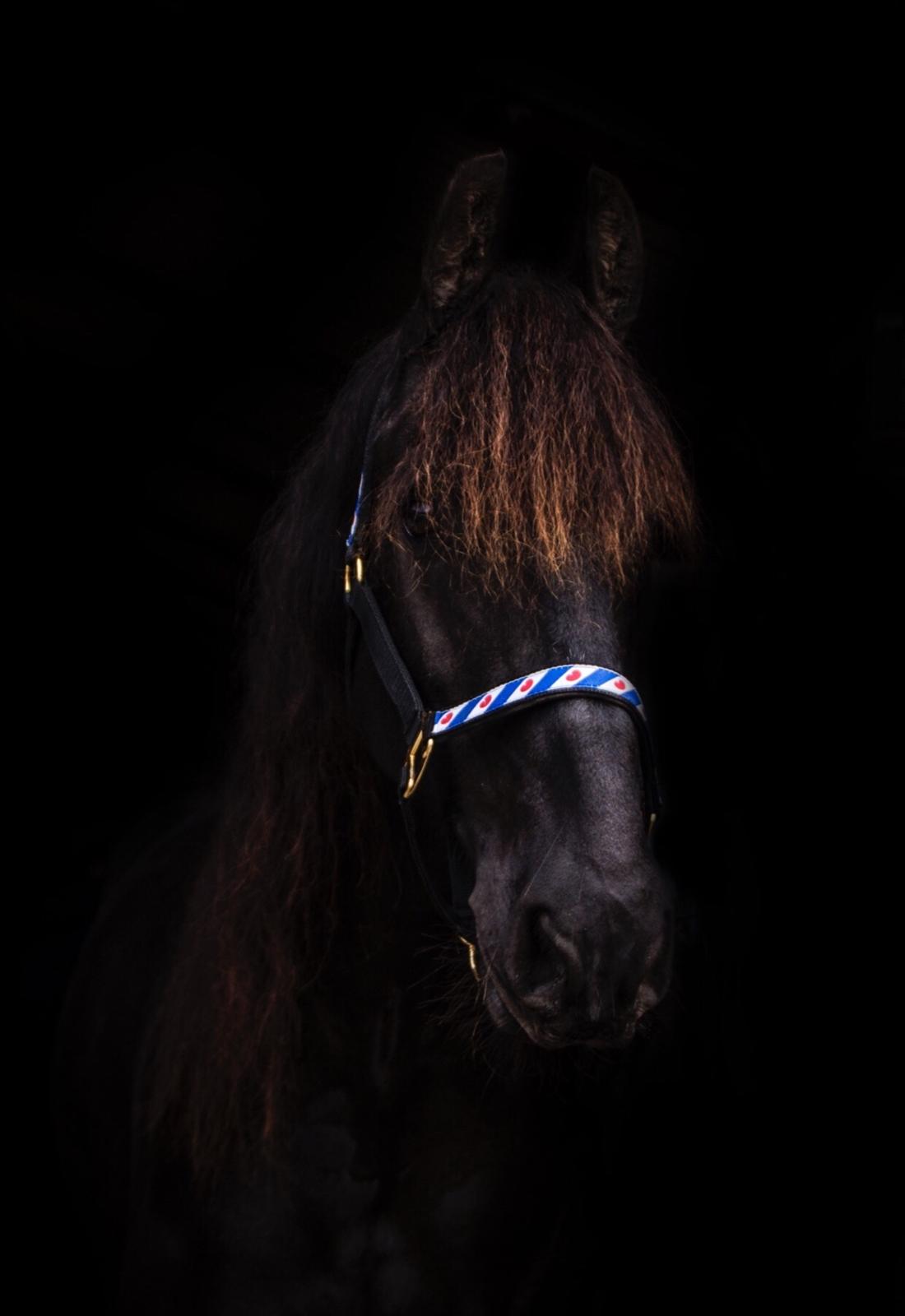 Frieser Barik billede 37