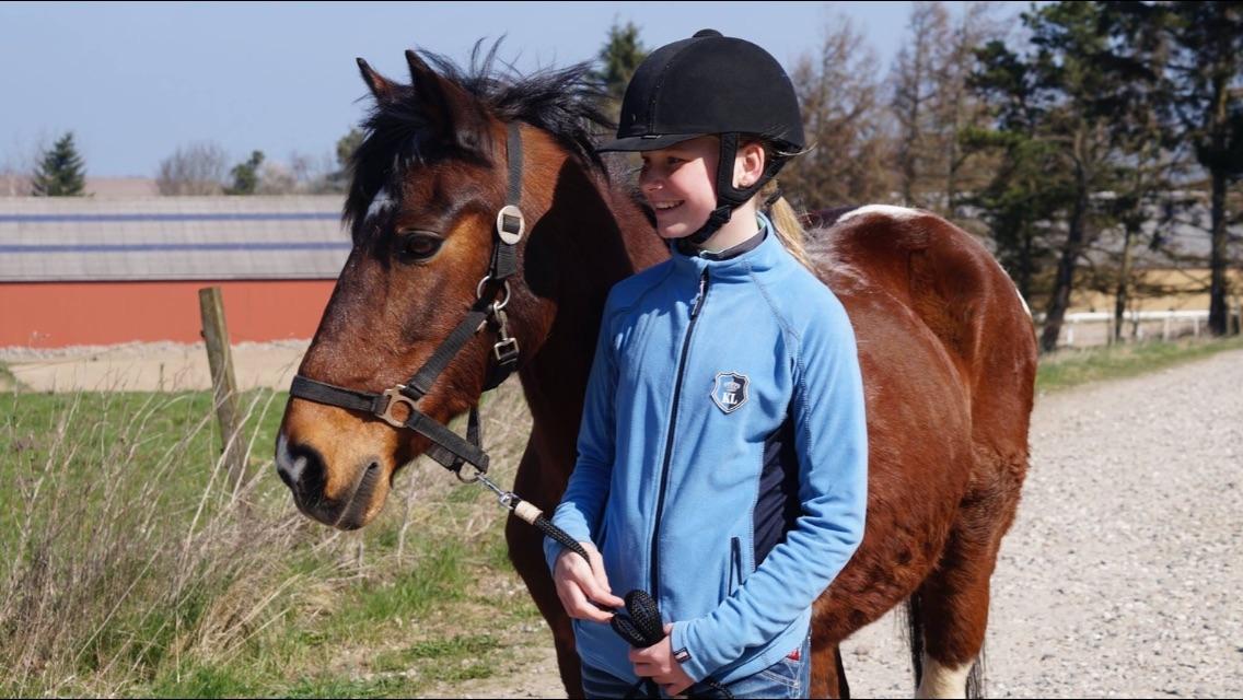 Anden særlig race Sandy billede 20