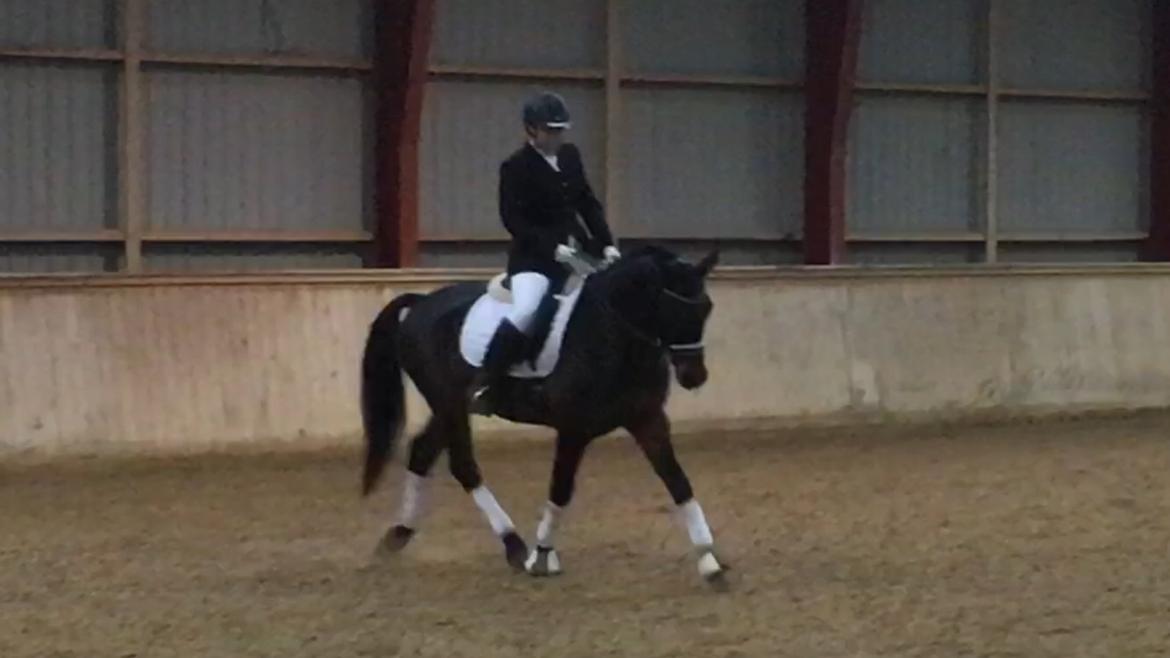 Connemara Egevangens Bailey billede 38